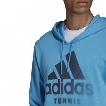 adidas Freizeit-Kapuzenpullover Hoody Category Graphic (Baumwollmix) hellblau Herren